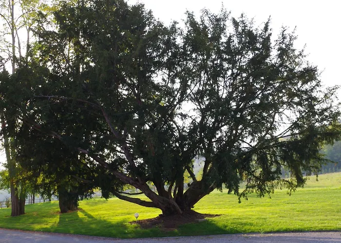 Le Domaine De Prin