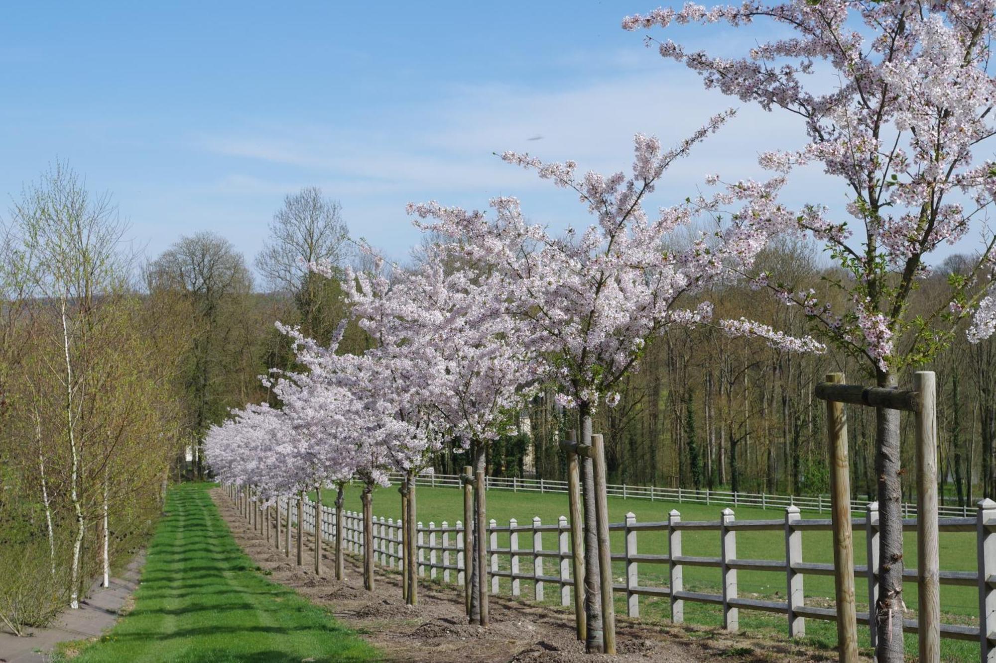 Le Domaine De Prin Serzy-et-Prin